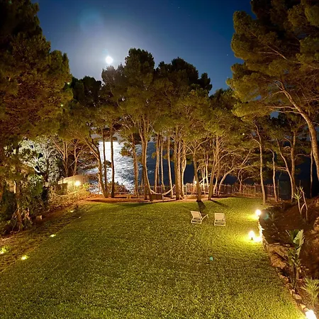 ホームステイ Ripea