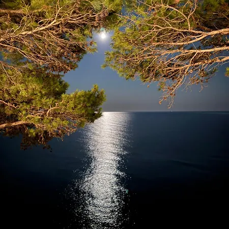 ホームステイ Ripea モンテコーリチェ