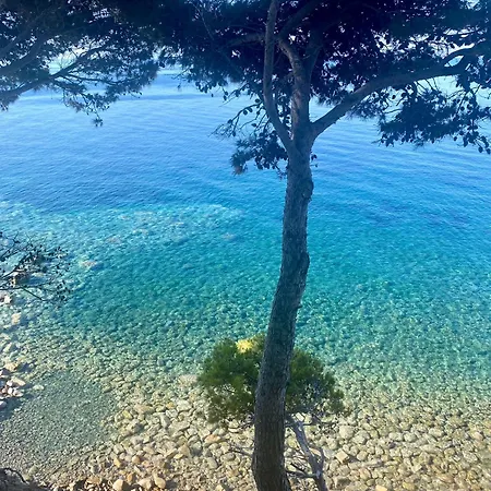 Ripea - Sul Mare Montecorice